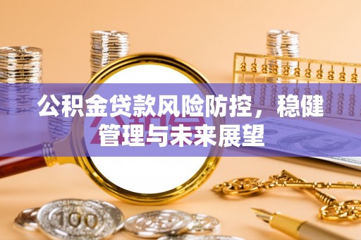 鱼池公积金贷款风险防控，稳健管理与未来展望