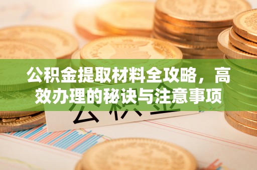 鱼池公积金提取材料全攻略，高效办理的秘诀与注意事项