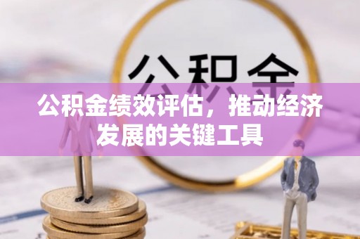 鱼池公积金绩效评估，推动经济发展的关键工具