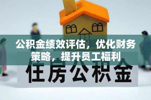 鱼池公积金绩效评估，优化财务策略，提升员工福利