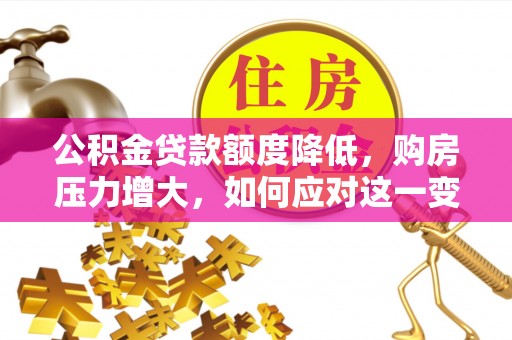 鱼池公积金贷款额度降低，购房压力增大，如何应对这一变化？