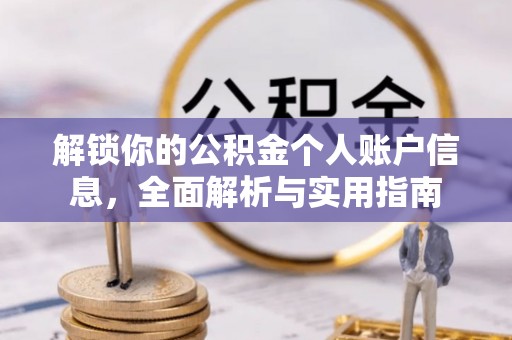 鱼池解锁你的公积金个人账户信息，全面解析与实用指南