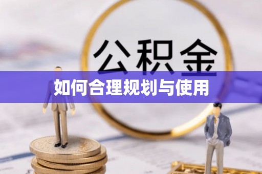 鱼池如何合理规划与使用