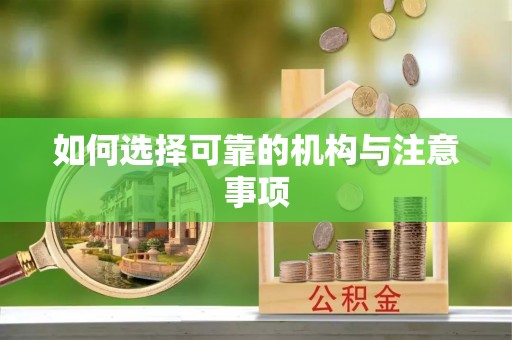 鱼池如何选择可靠的机构与注意事项
