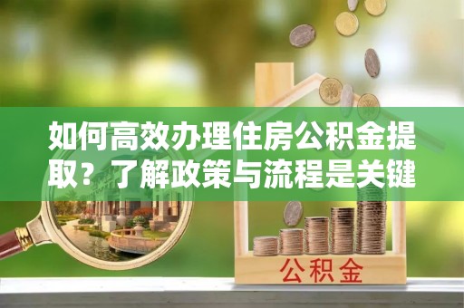 鱼池如何高效办理住房公积金提取？了解政策与流程是关键