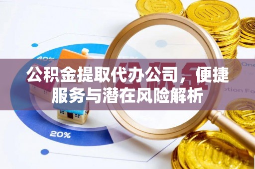 鱼池公积金提取代办公司，便捷服务与潜在风险解析