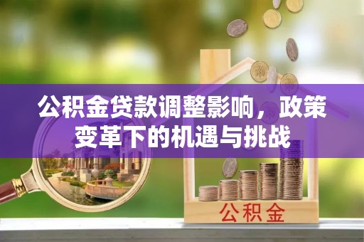 鱼池公积金贷款调整影响，政策变革下的机遇与挑战