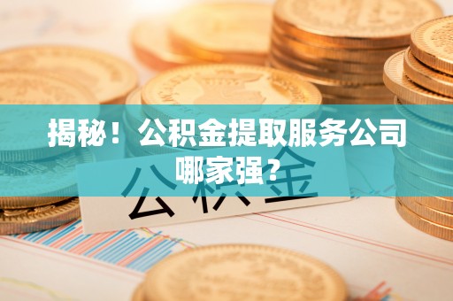 鱼池揭秘！公积金提取服务公司哪家强？
