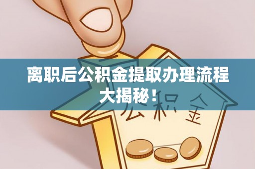 鱼池离职后公积金提取办理流程大揭秘！