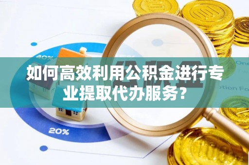 鱼池如何高效利用公积金进行专业提取代办服务？