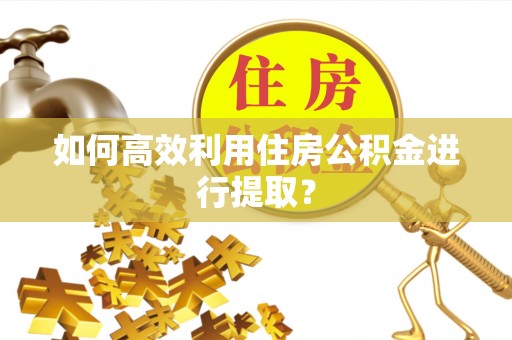 鱼池如何高效利用住房公积金进行提取？