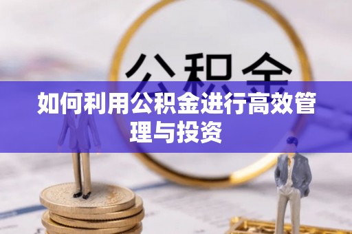鱼池如何利用公积金进行高效管理与投资