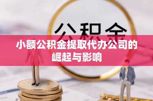 鱼池小额公积金提取代办公司的崛起与影响