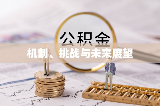 鱼池机制、挑战与未来展望
