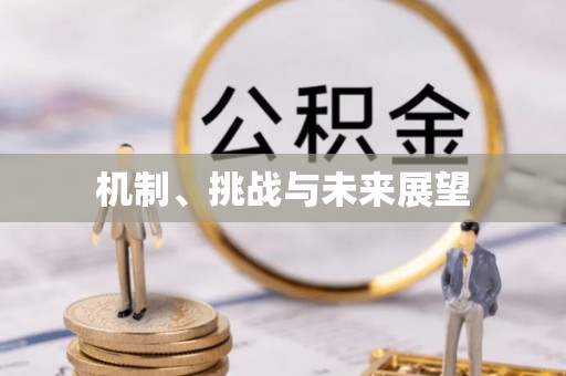 鱼池机制、挑战与未来展望