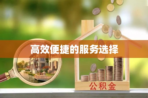 鱼池高效便捷的服务选择