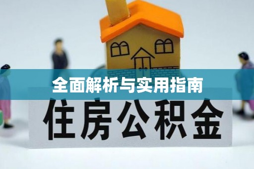 鱼池全面解析与实用指南